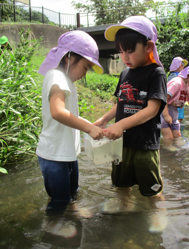 ☆武蔵小金井園☆野川公園へ行ってきました