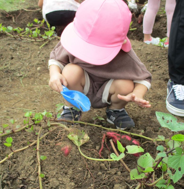 うさぎ・そら組　芋掘り　in木場公園