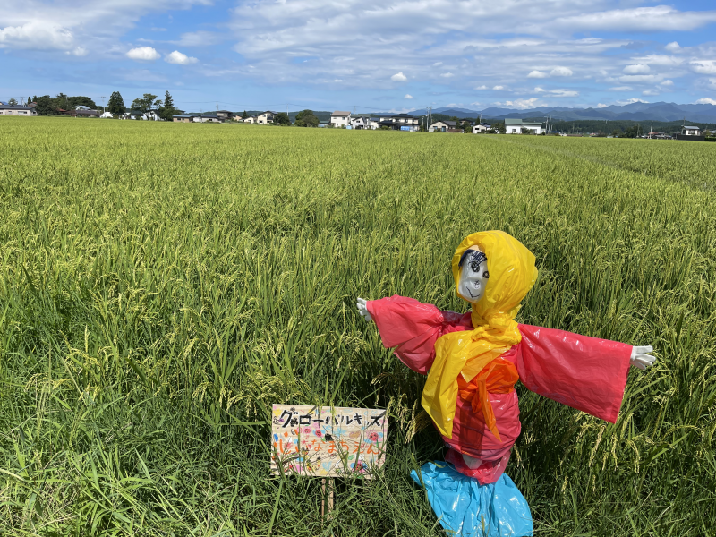 稲を守ってくれています♡