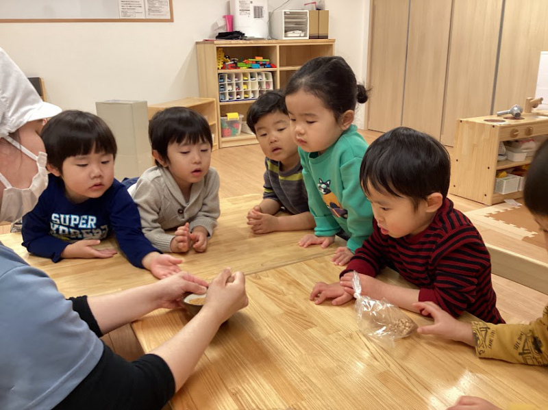 ［食育］きなこ作り